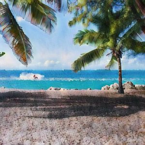 Beach