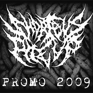 Promo 2009