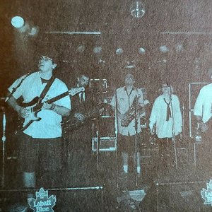 The Go Go Rays 的头像