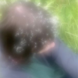 freearbo 的头像