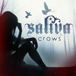 Crows - Single