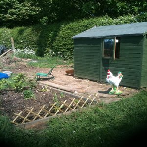 Damo's Allotment - Single