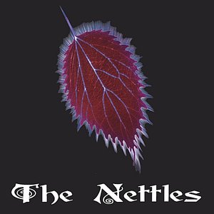 The Nettles