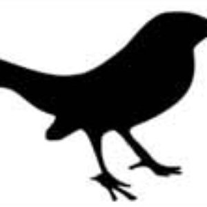The Johnny Starlings 的头像