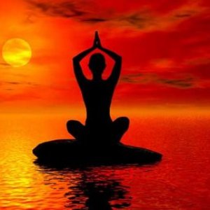 Avatar for Yoga & Meditation