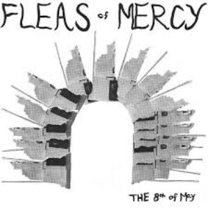 The 8th of May