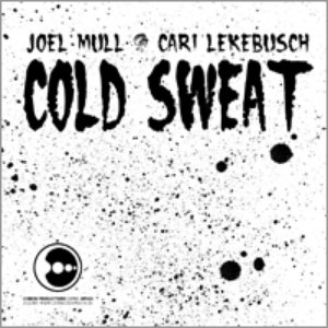 Image for 'joel mull & cari lekebusch'