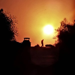 Half-Light