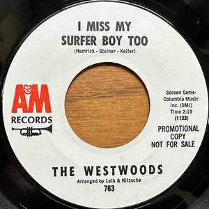 I Miss My Surfer Boy Too