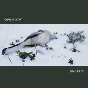 DEAD BIRDS