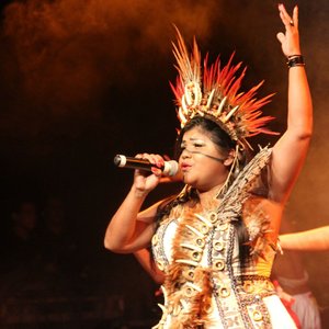 Marcia Siqueira 的头像