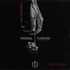 Avatar for FUNΞRΔL ‡ FLØWΞRS X SHEDFROMTHEBODY