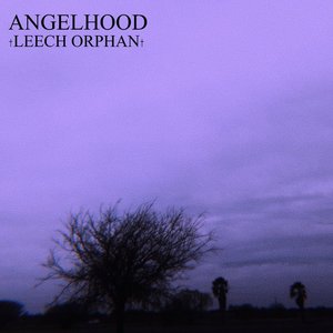 Angelhood
