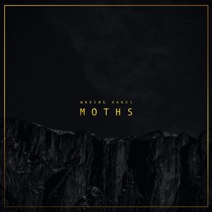 Moths