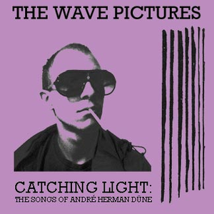 Catching Light: The Songs of André Herman Düne cover