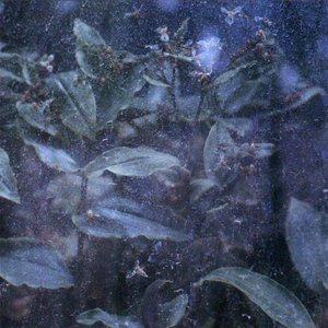 who would have thought?