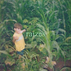 raízes