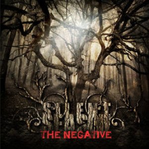 The Negative