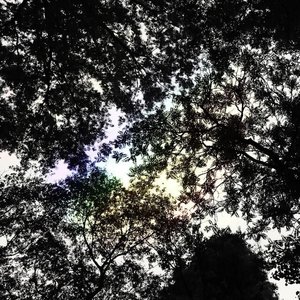 light leaks