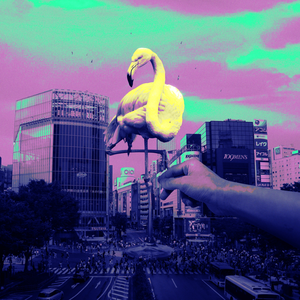Tokyo Mood - CLAN QUEEN