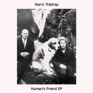 Human's Friend