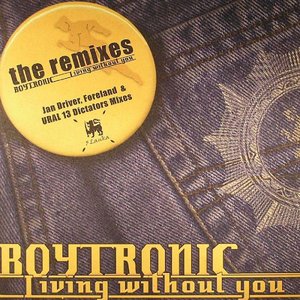 Living Without You (The Remixes)