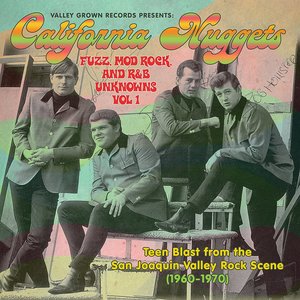 California Nuggets: Fuzz, Mod Rock, and R & B Unknowns, Vol. 1 (1960 - 1970)