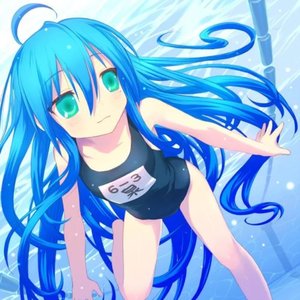 Lolishit; Lolishit 的头像