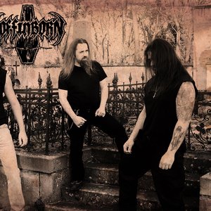 Coffinborn 的头像