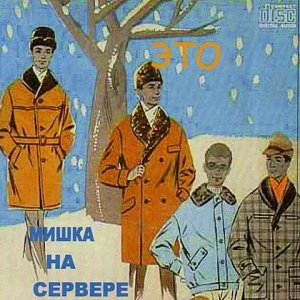 “Мишка на сервере”的封面