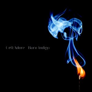 Burn Indigo