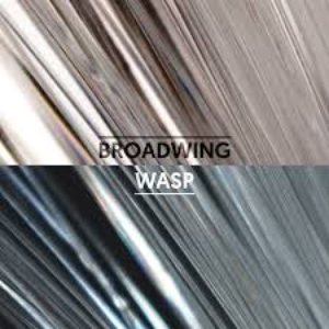 Wasp - Single
