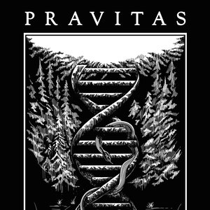 Chaos Is a Ladder