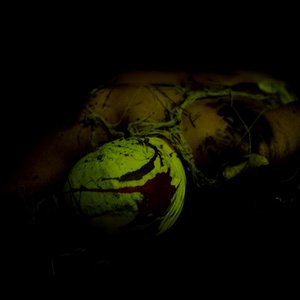 Nautilo - Single