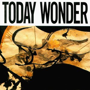 Today Wonder