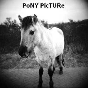 The Pony Picture