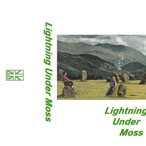 Lightning Under Moss
