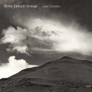 Image for 'Juan Condori'