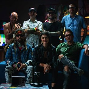 Avatar for Sativa Reggae