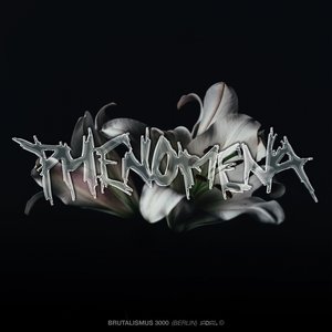Phenomena - Single