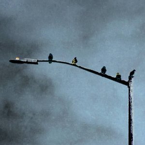 Until the Sky Comes Down