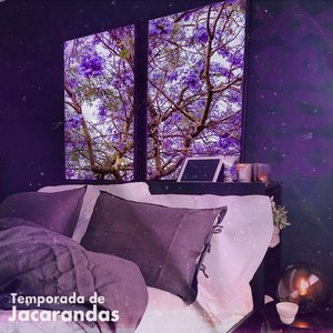 Temporada de jacarandas