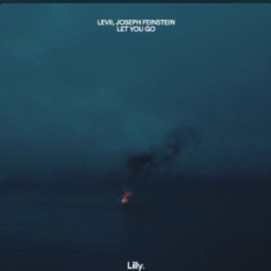 Levii 的头像