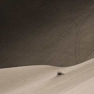 Much of the Distance