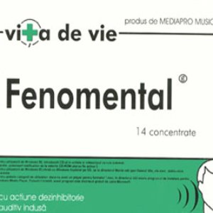 Fenomental