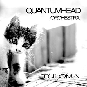 Avatar for Quantumhead Orchestra
