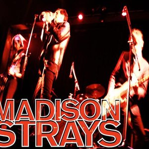 Madison Strays 的头像