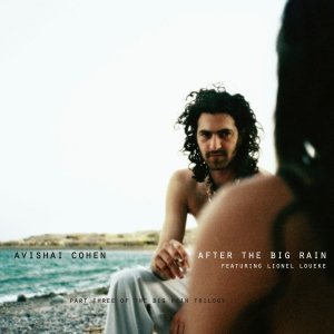 Image for 'After the Big Rain'