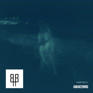 Chapter 1: Awakening