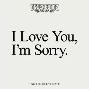 I Love You, I'm Sorry (Live Cover) - Single